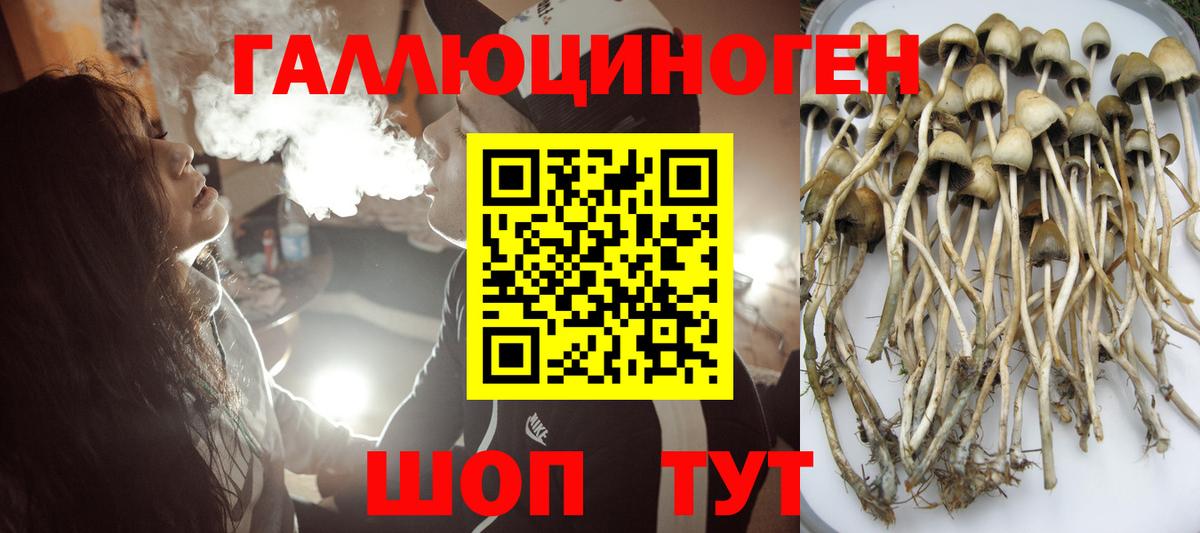 Псилоцибиновые грибы мухоморы  Вход с VPN  Советская Гавань 