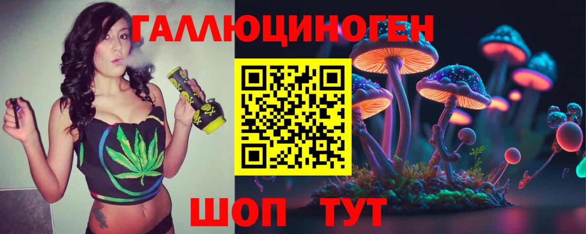 Псилоцибиновые грибы GOLDEN TEACHER Советская Гавань